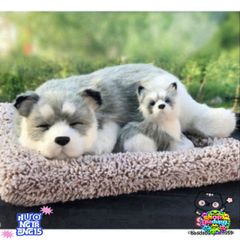 Mèo và Cún Than Hoạt Tính Khử Mùi Dễ Thương Trang Trí Taplo Ô Tô - Giải Pháp An Toàn Cho Không Gian Sống Trong Xe