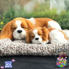 Thú Bông Hút Mùi Chó Mèo Than Hoạt Tính - Đồ Trang Trí Dễ Thương Cho Xe Ô Tô & Phòng Ngủ, Khử Mùi & Thanh Lọc Không Khí