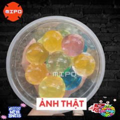Hạt Ngâm Nở Siêu To Đa Màu - Đồ Chơi Tinh Thể Trang Trí Cây Cảnh, Tiểu Cảnh Sáng Tạo Tại MIPO Shop