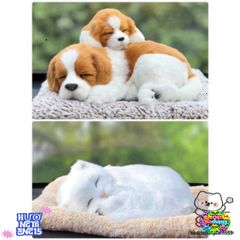 Gấu Bông Chó Mèo Lõi Than Hoạt Tính - Đồ Trang Trí Xe Ô Tô, Phụ Kiện Decor Bàn Làm Việc, Quà Tặng Sinh Nhật Dễ Thương