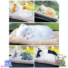 Gấu Bông Chó Mèo Lõi Than Hoạt Tính - Đồ Trang Trí Xe Ô Tô, Phụ Kiện Decor Bàn Làm Việc, Quà Tặng Sinh Nhật Dễ Thương
