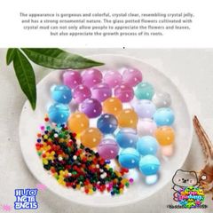 Túi Hạt Tinh Thể Trang Trí Cây Cảnh - Bộ 24 Sản Phẩm Nở Tạo Sức Sống Sáng Tạo cho Không Gian Tươi Mát