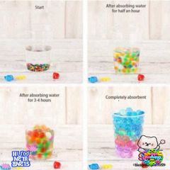 Túi Hạt Tinh Thể Trang Trí Cây Cảnh - Bộ 24 Sản Phẩm Nở Tạo Sức Sống Sáng Tạo cho Không Gian Tươi Mát