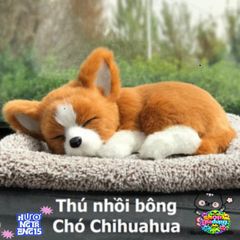 Thú Bông Khử Mùi Than Hoạt Tính Trang Trí Ô Tô, Xe Hơi - Giúp Lọc Không Khí Trong Sạch Và Dễ Thương