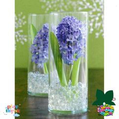 Hạt Tinh Thể Trồng Cây - Hạt Trân Châu Pha Lê Đa Màu, Tiết Kiệm Thời Gian và Dinh Dưỡng Cho Cây, 200-220 Hạt/Gói
