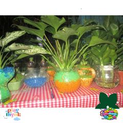 Hạt Tinh Thể Trồng Cây - Hạt Trân Châu Pha Lê Đa Màu, Tiết Kiệm Thời Gian và Dinh Dưỡng Cho Cây, 200-220 Hạt/Gói