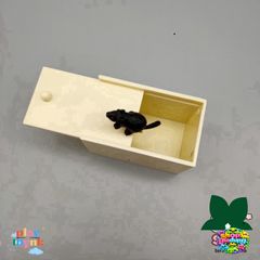 Tất Chơi Khăm Bò Cạp Bọ Xít Gỗ - Hộp Nhện Giả Hài Hước Dành Cho Trẻ Em và Người Lớn, Vui Chơi Mọi Dịp