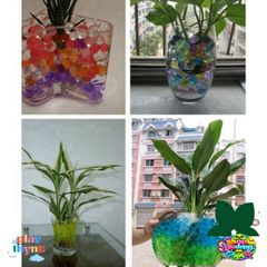 Hạt Tinh Thể Trồng Cây Dinh Dưỡng Slime Nhiều Màu - Thay Thế Đất, Giúp Cây Lớn Mạnh, Trang Trí Thiên Nhiên Thú Vị
