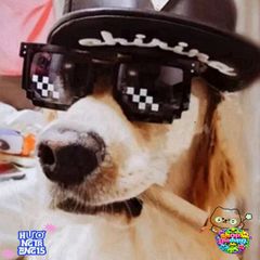 Kính Mát Thug Life 8-bit - Kính Mắt Hip Hop Thời Trang Độc Đáo Cho Nam Nữ - Phong Cách Cực Chất, Hot Trend 2022