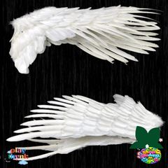 Cánh Đen & Trắng Gập Gọn Cosplay - Phụ Kiện Thời Trang Unisex Cho Đạo Cụ Biểu Diễn và Sân Khấu