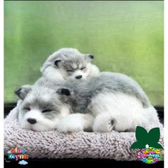 Thú Bông Khử Mùi Xe Hơi Chó Mèo - Phụ Kiện Ô Tô Dễ Thương Hút Mùi Than Hoạt Tính, Giữ Không Khí Tươi Mát