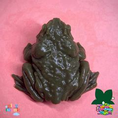 Túi Cóc Slime Dẻo – Đồ Chơi Giải Trí Xả Stress, Hình Dáng Sinh Động, Quà Tặng Vui Nhộn Cho Bé và Dân Văn Phòng