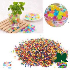 Combo Hạt Nở Đẹp 24 Gói Trang Trí Cây Cảnh – Dụng Cụ Làm Đẹp Không Gian Nhà Ở