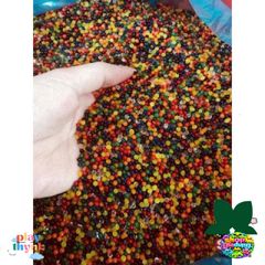 Combo Hạt Nở Đẹp 24 Gói Trang Trí Cây Cảnh – Dụng Cụ Làm Đẹp Không Gian Nhà Ở
