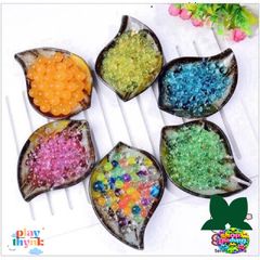 Combo Hạt Nở Đẹp 24 Gói Trang Trí Cây Cảnh – Dụng Cụ Làm Đẹp Không Gian Nhà Ở