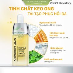 Tinh Chất Keo Ong Phục Hồi Da CNP Laboratory Propolis Ampule 35ml - Dưỡng Ẩm, Tái Tạo Làn Da Mịn Màng, Giảm Kích Ứng Chí