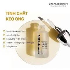 Tinh Chất Keo Ong Phục Hồi Da CNP Laboratory Propolis Ampule 35ml - Dưỡng Ẩm, Tái Tạo Làn Da Mịn Màng, Giảm Kích Ứng Chí