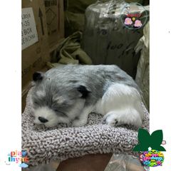 Thú Bông Cún Xám 99% Chất Liệu Than Hoạt Tính - Khử Mùi Và Làm Sạch Không Khí Xe Hơi, Trang Trí Dễ Thương Cho Gia Đình