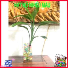 Hạt Nở Đa Sắc 50g - Trang Trí Cây Cảnh & Bình Hoa Thủy Tinh Tươi Mát - Đem Đến Không Gian Sống Sinh Động