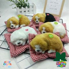 Gấu Bông Khử Mùi Chó Mèo Than Hoạt Tính - Đồ Chơi Thiên Nhiên Cho Ô Tô, Văn Phòng & Nhà Ở - Siêu Đáng Yêu, Chống Ẩm 99%