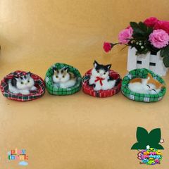 Gấu Bông Khử Mùi Chó Mèo Than Hoạt Tính - Đồ Chơi Thiên Nhiên Cho Ô Tô, Văn Phòng & Nhà Ở - Siêu Đáng Yêu, Chống Ẩm 99%