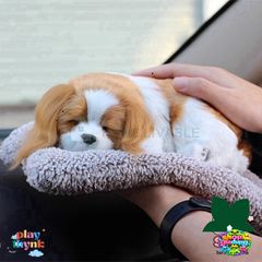 Thú Nhồi Bông Khử Mùi Than Hoạt Tính Hình Mèo Ngủ - Đồ Trang Trí Dễ Thương Cho Xe Ô Tô Và Không Gian Sống