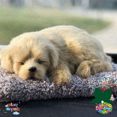 Gấu Bông Mẹ-Con Cún - Trang Trí Xe Hơi Độc Đáo với Lõi Than Hoạt Tính Khử Mùi, Giúp Không Gian Trong Lành và Dễ Thương