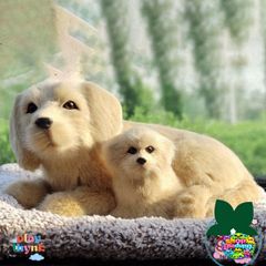 Gấu Bông Mẹ-Con Cún - Trang Trí Xe Hơi Độc Đáo với Lõi Than Hoạt Tính Khử Mùi, Giúp Không Gian Trong Lành và Dễ Thương