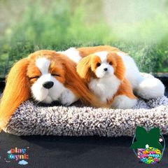 Bông Thú Nhồi Chó Mèo Hút Ẩm Khử Mùi - Trang Trí Không Gian Sống & Xe Hơi, Phụ Kiện Độc Đáo cho Fans Thú Cưng