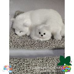 Bộ Đôi Thú Nhồi Bông Mẹ Con Hút Mùi Than Hoạt Tính - Đồ Trang Trí Xe Hơi Siêu Đáng Yêu, Khử Khuẩn Không Gian Sống