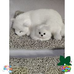 Bộ Đôi Thú Nhồi Bông Mẹ Con Hút Mùi Than Hoạt Tính - Đồ Trang Trí Xe Hơi Siêu Đáng Yêu, Khử Khuẩn Không Gian Sống