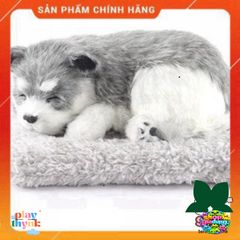Thú Bông Cún Đôi Trắng Vàng Tai Dài - Khử Mùi Và Lọc Không Khí - Đồ Trang Trí Xe Hơi Dễ Thương 28x20cm