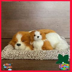 Bánh Xe Khử Mùi Than Hoạt Tính Cho Chó Mèo - Khử Mùi Hiệu Quả Cho Ô Tô & Nhà, Phụ Kiện Thú Cưng Cao Cấp