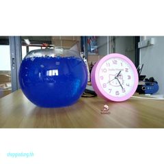 Bộ 4000 Hạt Nở Thần Kỳ Nhiều Màu - Giải Trí Trồng Cây Thú Vị Cho Trẻ Em & Trang Trí Nhà Cửa Sáng Tạo