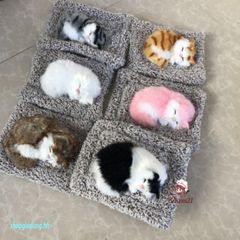 Mèo Trắng Bông Lông Mượt Lõi Than Hoạt Tính Khử Mùi Cho Taplo Ô Tô - Thú Bông Dễ Thương Trang Trí Xe Hơi