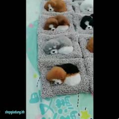 Mèo Trắng Bông Lông Mượt Lõi Than Hoạt Tính Khử Mùi Cho Taplo Ô Tô - Thú Bông Dễ Thương Trang Trí Xe Hơi