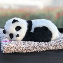 Thú Bông Chó Mắt Đen 99% Giống Thật - Lõi Than Hoạt Tính Khử Mùi Tô Điểm Ô Tô - Phụ Kiện Trang Trí Xe Hơi Giá Tốt