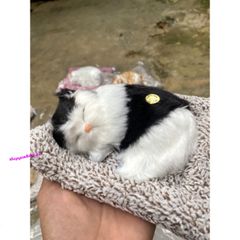 Mèo Đen Phối Trắng Thú Bông Lõi Than Hoạt Tính - Khử Mùi Ô Tô, Phụ Kiện Trang Trí Xe Hơi Dễ Thương cho Trẻ Em