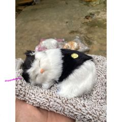 Mèo Đen Phối Trắng Thú Bông Lõi Than Hoạt Tính - Khử Mùi Ô Tô, Phụ Kiện Trang Trí Xe Hơi Dễ Thương cho Trẻ Em