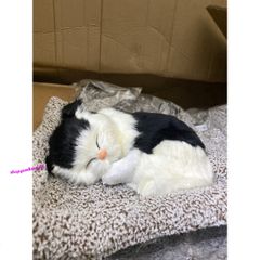 Mèo Đen Phối Trắng Thú Bông Lõi Than Hoạt Tính - Khử Mùi Ô Tô, Phụ Kiện Trang Trí Xe Hơi Dễ Thương cho Trẻ Em