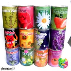 Hạt Giống Đậu Thần Kỳ - Bộ Sưu Tập Cây Cảnh Đẳng Cấp Cho Vườn Nhà, Quà Tặng Bạn Bè Thú Vị