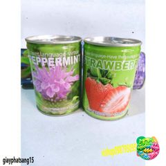 Hạt Giống Đậu Thần Kỳ - Bộ Sưu Tập Cây Cảnh Đẳng Cấp Cho Vườn Nhà, Quà Tặng Bạn Bè Thú Vị
