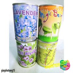 Hạt Giống Đậu Thần Kỳ - Bộ Sưu Tập Cây Cảnh Đẳng Cấp Cho Vườn Nhà, Quà Tặng Bạn Bè Thú Vị