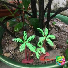 Cây Dừa Mini Bằng Nhựa - Phụ Kiện Tiểu Cảnh Hồ Cá Độc Đáo Cho Non Bộ, Kích Thước 8-10 cm, Trang Trí Hồ Bể Cá Nhỏ