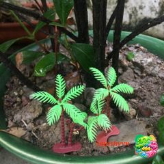 Cây Dừa Mini Bằng Nhựa - Phụ Kiện Tiểu Cảnh Hồ Cá Độc Đáo Cho Non Bộ, Kích Thước 8-10 cm, Trang Trí Hồ Bể Cá Nhỏ