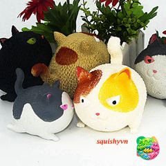 Áo Mèo Cao Su Đa Năng Dễ Thương - Giải Tỏa Căng Thẳng, Đồ Chơi Trẻ Em, Quà Tặng Sinh Nhật, Trang Trí Bàn Học