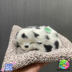 Mèo Mini Khử Mùi Ô Tô 15x17cm - Dễ Thương & Âm Thanh Vui Vẻ, Giải Pháp An Toàn Bằng Than Hoạt Tính NANO