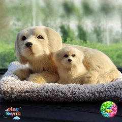 Thú Bông Chó Mèo Vàng Mượt Khử Mùi - Lõi Than Hoạt Tính Hút Ẩm Trang Trí Ô Tô Đáng Yêu và Dễ Thương