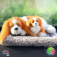 Thú Bông Khử Mùi Hôi Than Hoạt Tính Chó Mèo - Phụ Kiện Trang Trí Ô Tô, Phòng Khách, Ngủ Dễ Thương