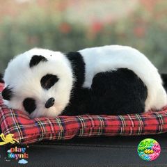 Chó Poodle Bông Xù Nâu 99% Khử Mùi, Lọc Khí - Thú Bông Trang Trí Xe Hơi Đáng Yêu, Phụ Kiện Ô Tô Hút Mùi Than Hoạt Tính